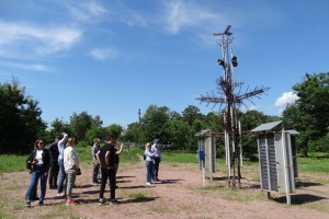 Экскурсия в Чернобыль
